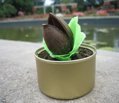  				 b&eacute;b&eacute;_plante_carnivore